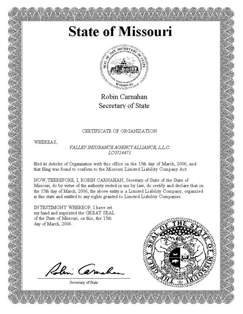 2006 Viaa Certificate